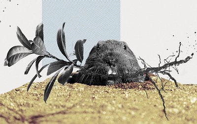 Метод «5 почему»: как руководителю найти корень проблемы